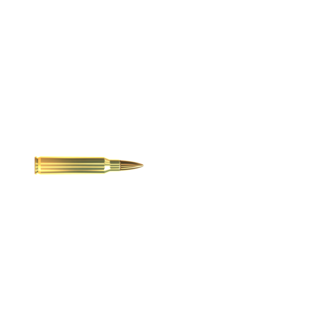 .223 REM FMJ 4,5G/69GR SELLIER BELLOT.png